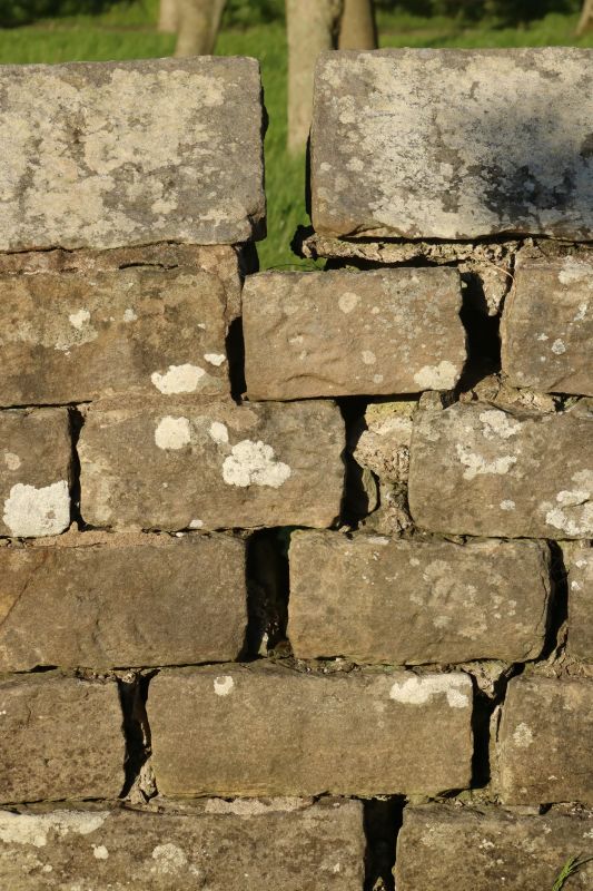 Stone Wall Repair in Guerneville, CA